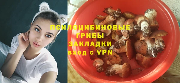 spice Армянск