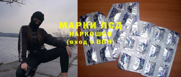 шишки Аркадак