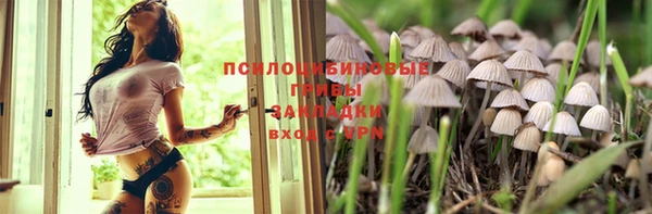 шишки Аркадак